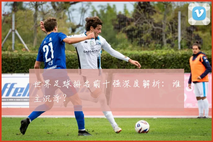 世界足球排名前十强深度解析:谁主沉浮?